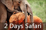 2 Days Tsavo East Safari
